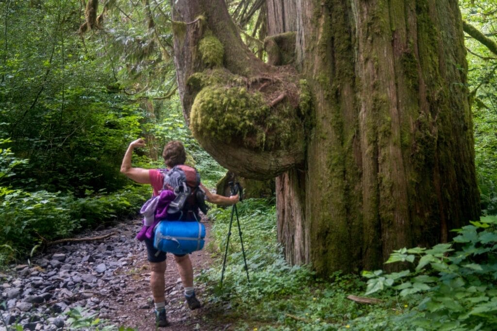 Hiker, Mossy Forest, Bicep Flex, Outdoor Adventure, Rocky Trail, Strength, Resilience, by Andrea Salus