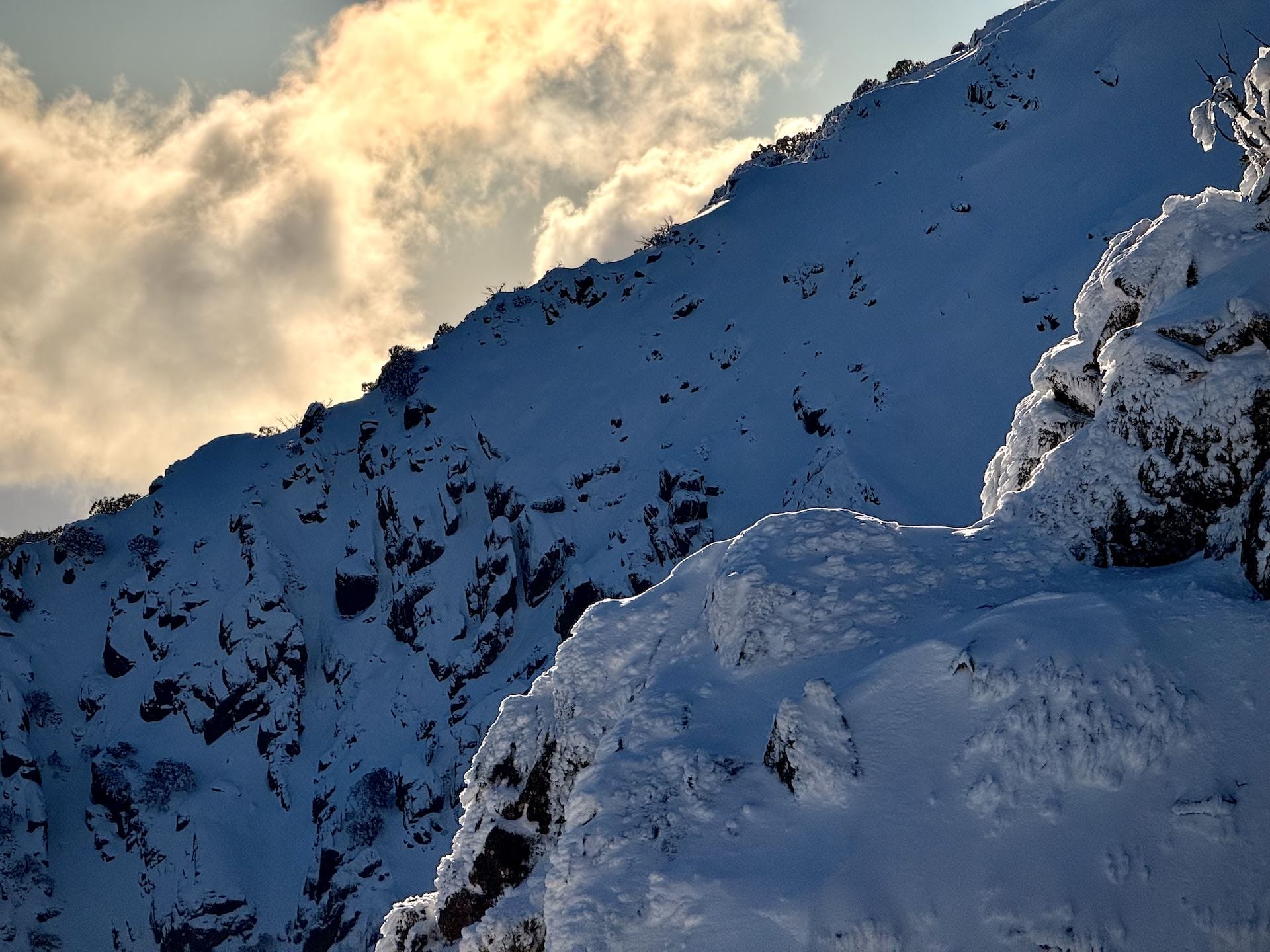 Mount Bogong Quartz Ridge, Josh Hamill, Better Hiking, Victorian High Country
