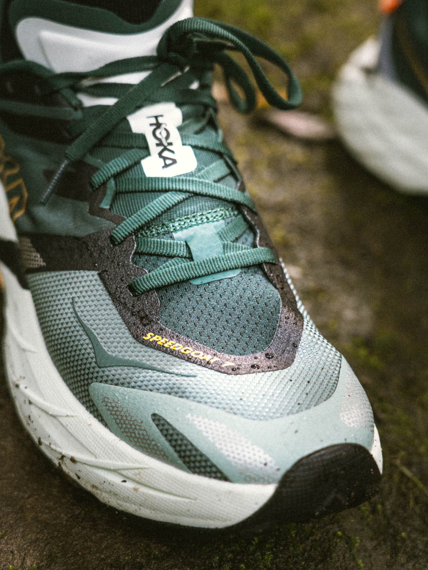 SPEEDGOHoka’s Speedgoat 7 is Made for the Roughest of Trails, photos by Evan Andrews, running by Tim Ashelford, lane cove trails, nsw, dynamic vamp