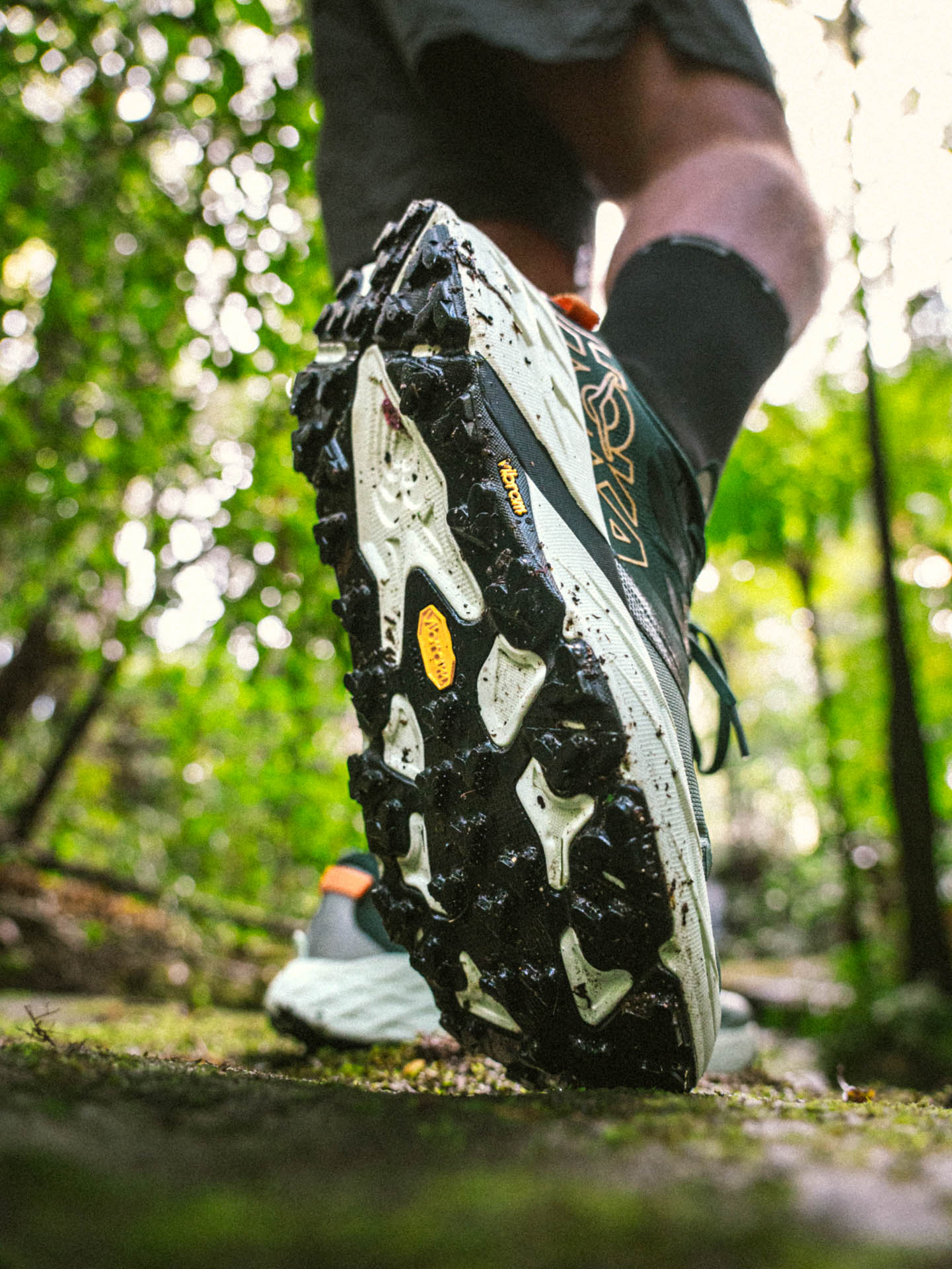 Hoka’s Speedgoat 7 is Made for the Roughest of Trails, photos by Evan Andrews, running by Tim Ashelford, lane cove trails, nsw, sole, vibram, megagrip