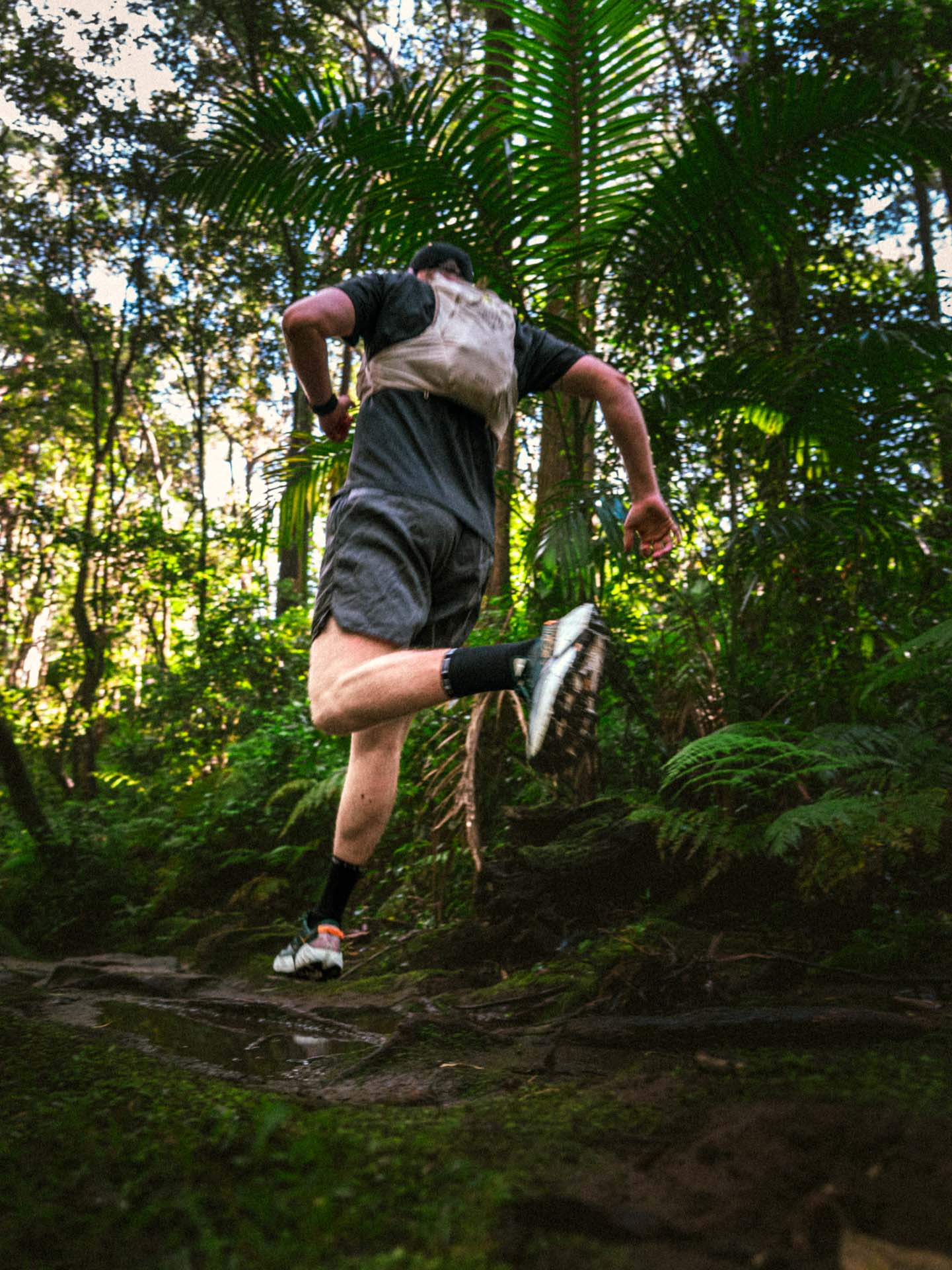 Hoka’s Speedgoat 7 is Made for the Roughest of Trails, photos by Evan Andrews, running by Tim Ashelford, lane cove trails, nsw, more jump