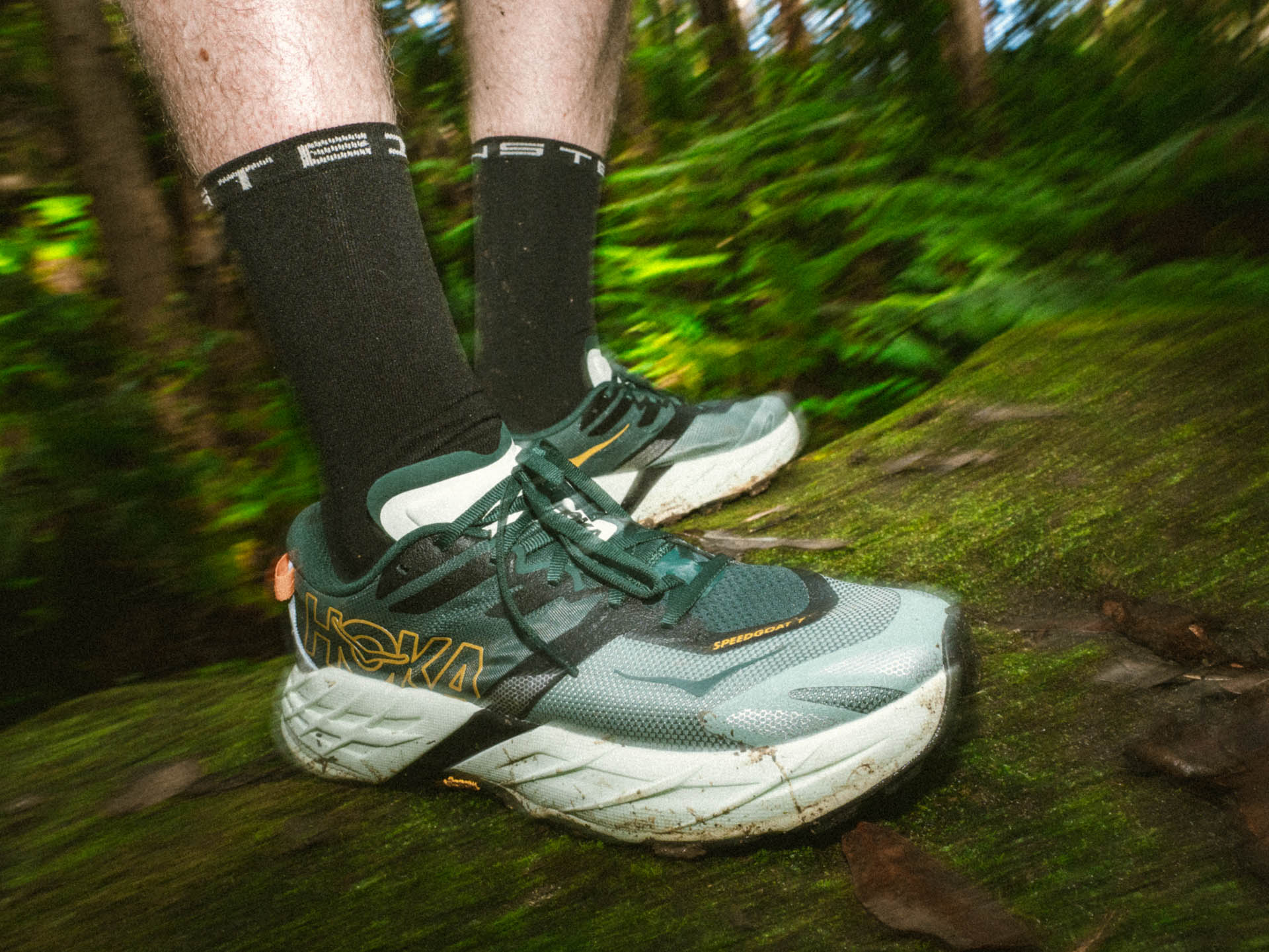 Hoka’s Speedgoat 7 is Made for the Roughest of Trails, photos by Evan Andrews, running by Tim Ashelford, lane cove trails, nsw, motion