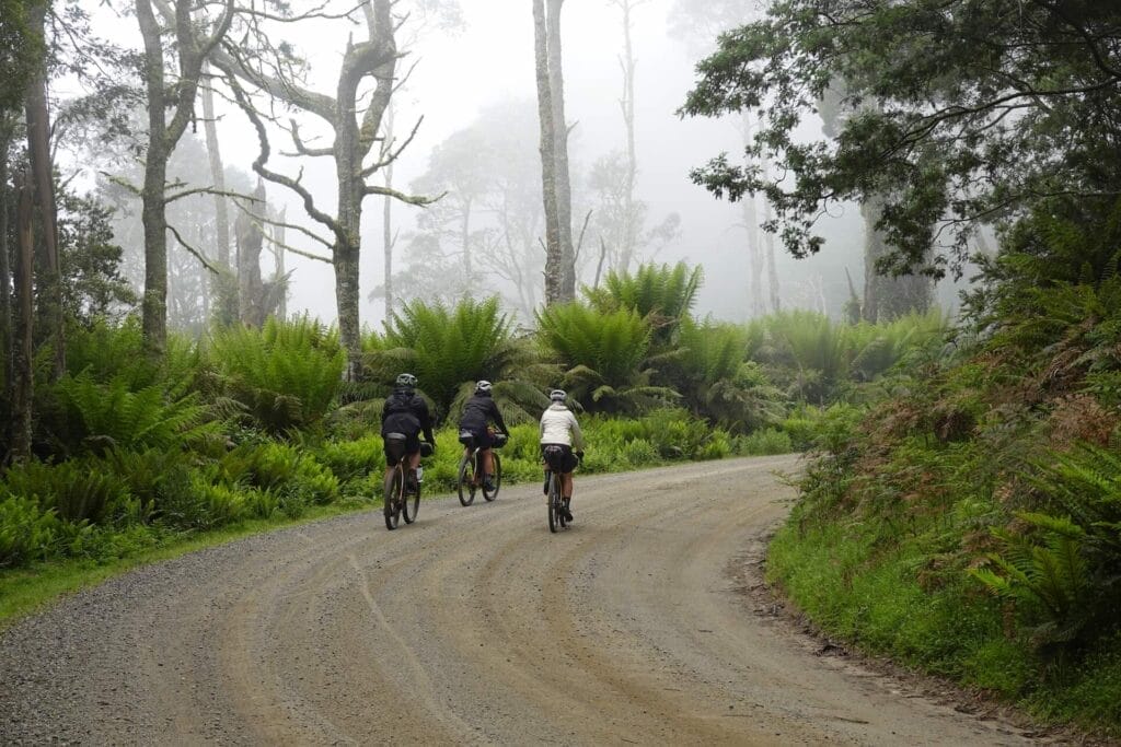 Tassie Traverse, Ben Lomond to Derby, by Rohan Hunt, bikepacking, gravel road, misty forest, lush ferns, temperate rainforest, Tasmania