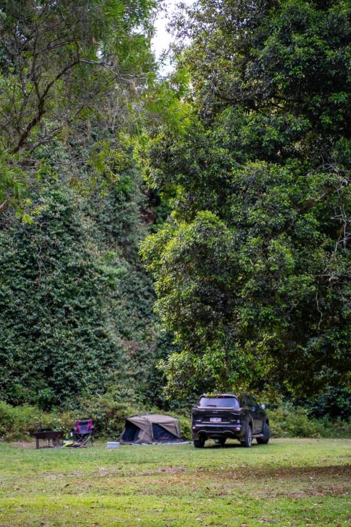 Campsite, Gloucester River Campground, Barrington Tops National Park, grassy clearing, tent, 4WD vehicle, dense forest, peaceful camping trip, Australian bush