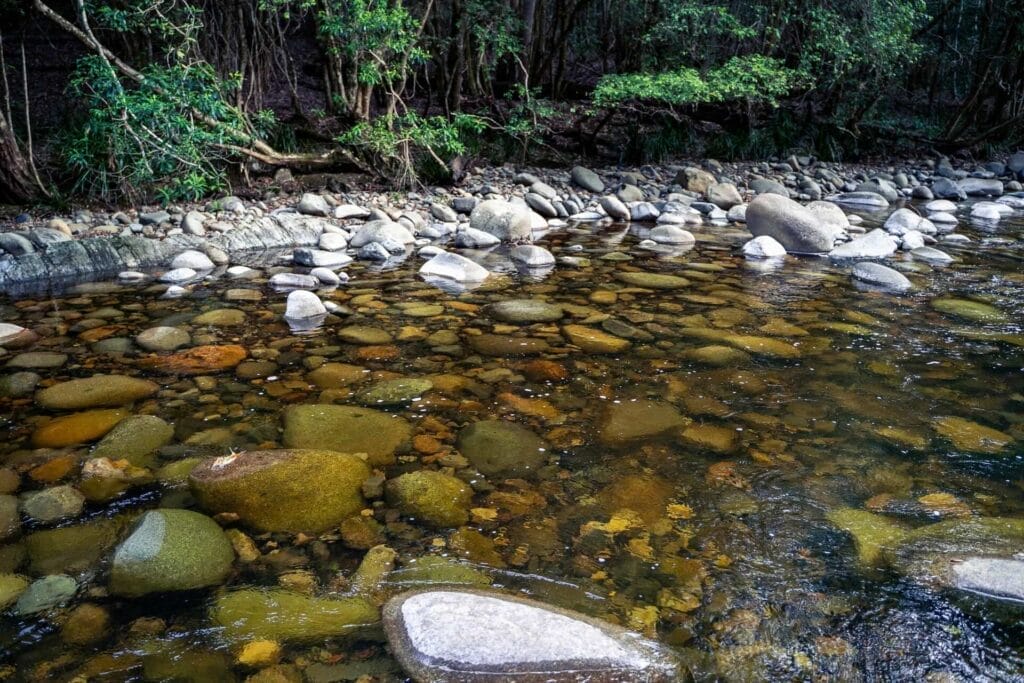 Gloucester River, clear water, river stones, pebbles, forest, rainforest, tranquil, Barrington Tops National Park, creek