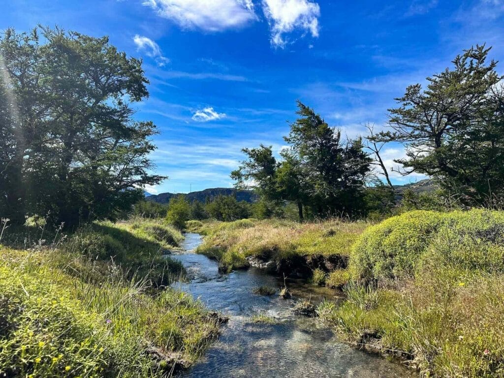 Stream, Las Horquetas Trek, Cerro Castillo National Park, Patagonia, clear water, lush green grass, Patagonian trees, bright blue sky, distant mountains