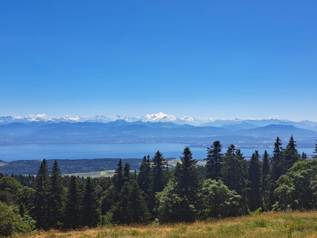 Cabane du Cunay, Jura, by Beckerhoff, panoramic view, Lake Geneva, Swiss Alps, Mont Blanc, forest, blue sky, summer, hiking in Switzerland